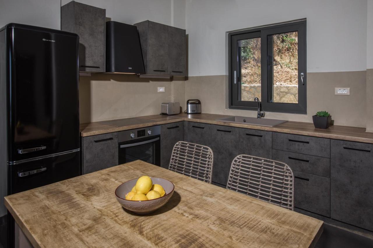 Brand New Villa Lefka With Private Pool At Platies Plateies Luaran gambar